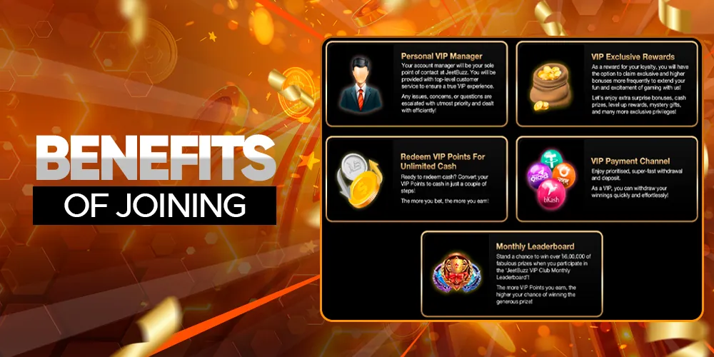 Benefits of the VIP programme for Bangladesh